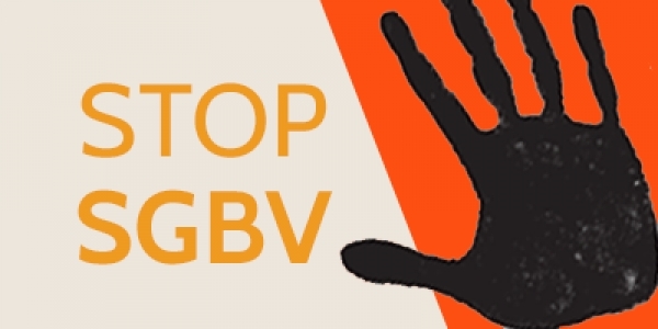 SGBV Pilot Project Report Card